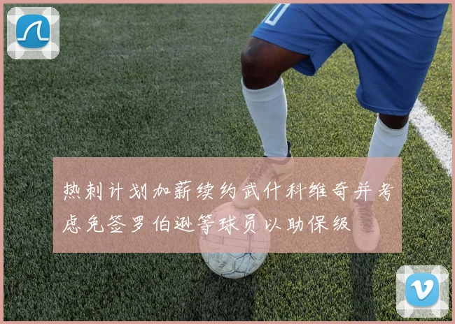 热刺计划加薪续约武什科维奇并考虑免签罗伯逊等球员以助保级