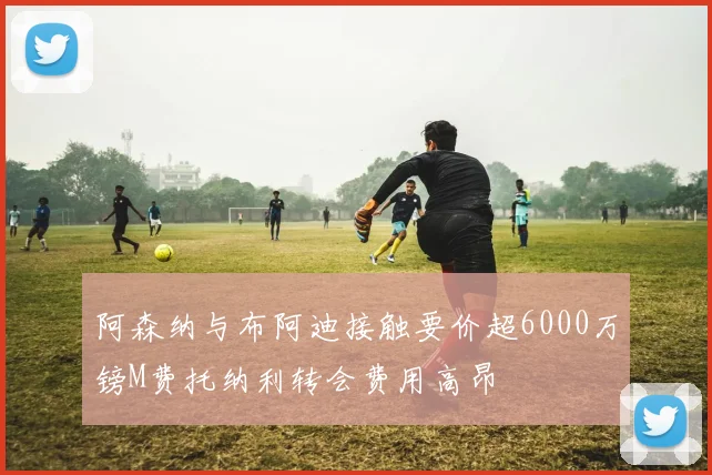 阿森纳与布阿迪接触要价超6000万镑M费托纳利转会费用高昂