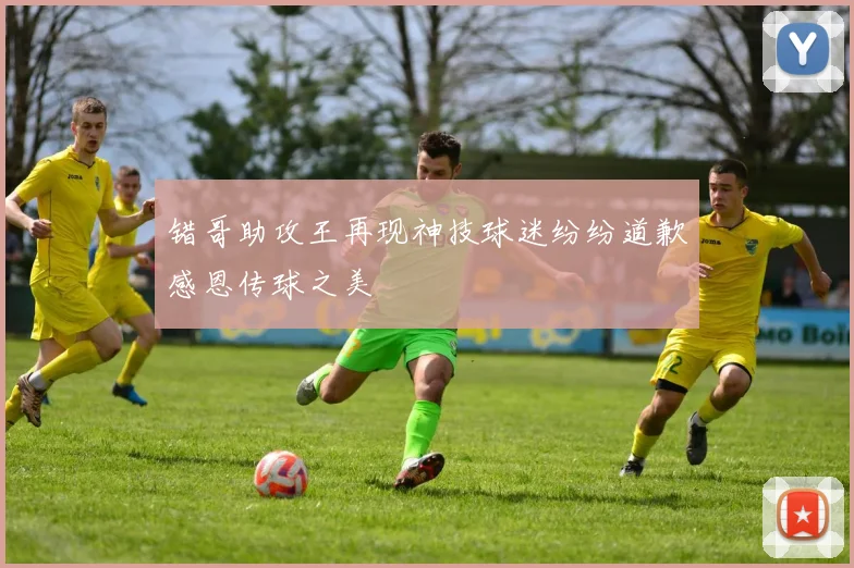 错哥助攻王再现神技球迷纷纷道歉感恩传球之美