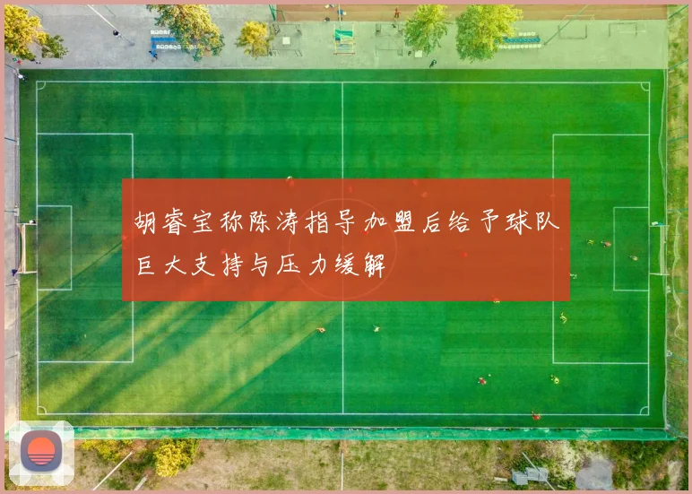 胡睿宝称陈涛指导加盟后给予球队巨大支持与压力缓解