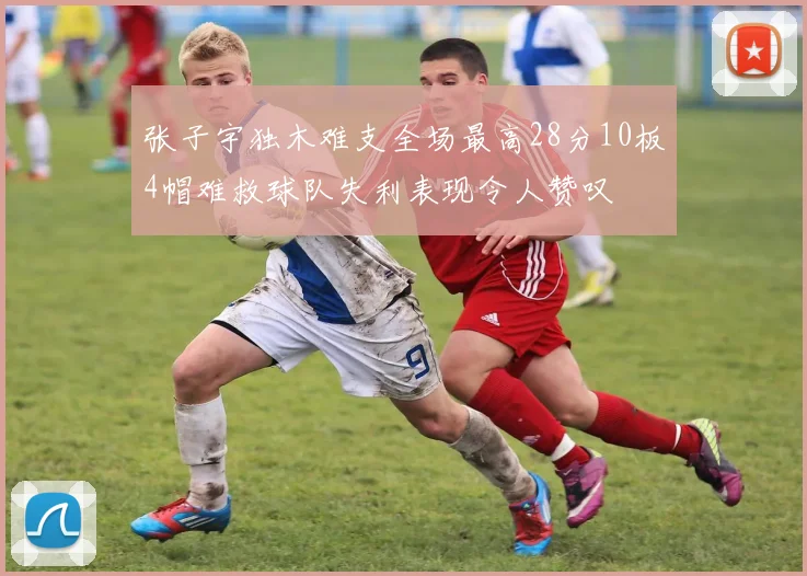 张子宇独木难支全场最高28分10板4帽难救球队失利表现令人赞叹